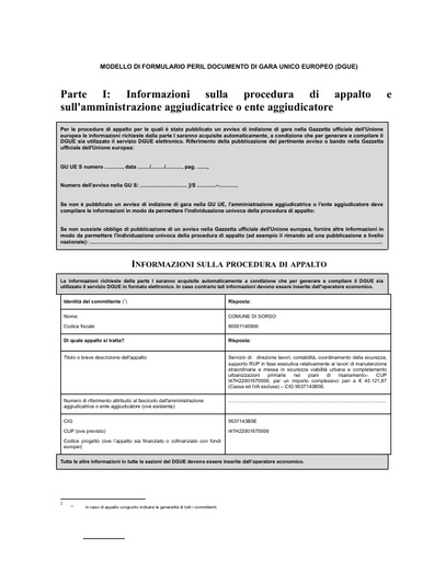 07   Documento di gara unico europeo (DGUE)