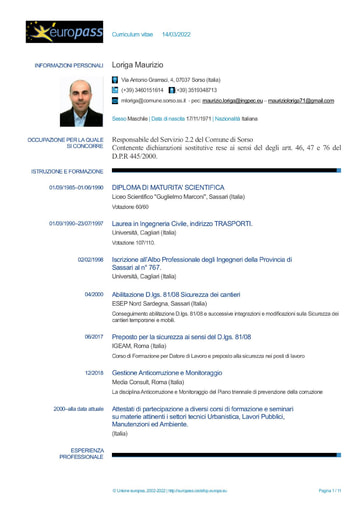 Curriculum vitae Ing. Maurizio Loriga